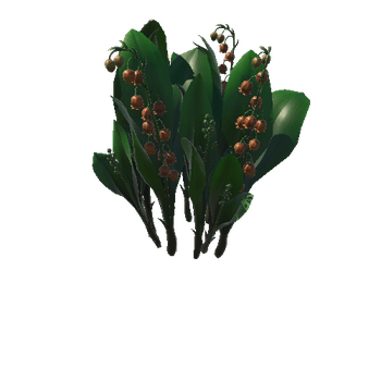Flower_Convallaria majalis2_1